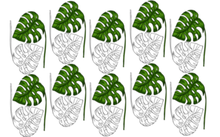 Summer monstera leaves pattern png