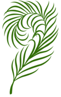 été paume feuilles illustration png