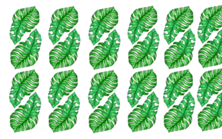 Summer monstera leaves pattern png