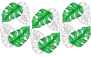 Summer monstera leaves pattern png