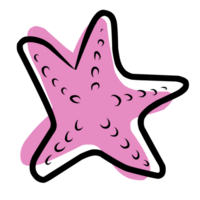 Starfish cute illustration png