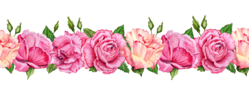 Pink roses seamless border Flowers with leaves endless element. Drawn watercolor illustration isolated on transparent background. Floral ribbon, birthday or wedding gift and card, adhesive tape design png