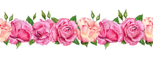 Rosa Rosen nahtlos Rand Blumen mit Blätter endlos Element. gezeichnet Aquarell Illustration isoliert auf transparent Hintergrund. Blumen- Band, Geburtstag oder Hochzeit Geschenk und Karte, Klebstoff Band Design png