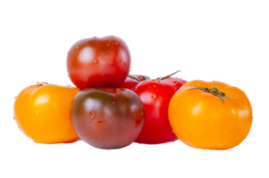 Multicolored tomatoes isolate. Vegetables. Red, black and yellow tomatoes. png