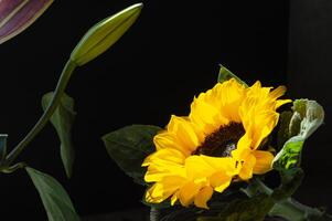 a vase with a sunflower and a vase with a lily photo