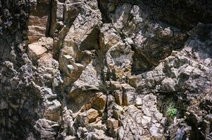 Textured stone sandstone surface. Close up image photo