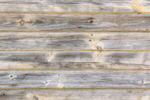 Background made of a textured old wood 3 photo