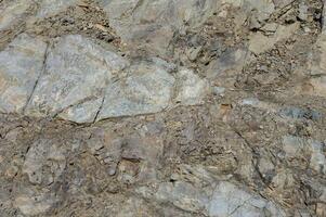 Textured stone sandstone surface. Close up image photo