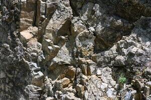 Textured stone sandstone surface. Close up image photo