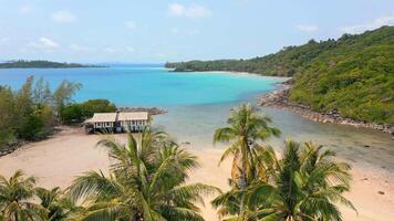 Aerial of beautiful tropical beach with coconut palm trees and turquoise sea video