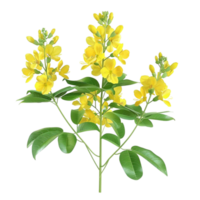 Gelb Blumen auf ein Ast mit Blätter KI-generiert png