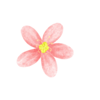 carino fiori design per stampa,icona,simboli e di più. png