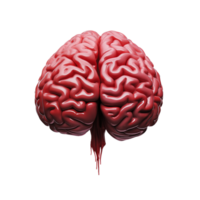 3d illustration de Humain cerveau mise en évidence ses complexe structure et anatomie pour éducation et santé png