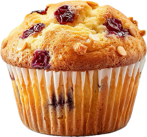 Golden Brown Muffin in Paper Cup png