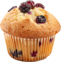 Golden Brown Muffin in Paper Cup png