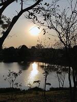 Lake with golden reflection of the sunset. And silhouettes of trees at dusk. photo