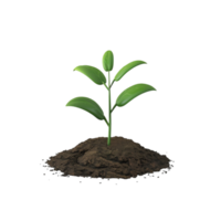 Generated AI a plant growing out of dirt on transparent background png