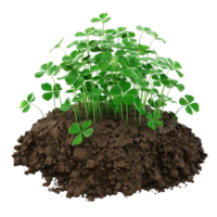 Generated AI green clover in the ground on transparent background png