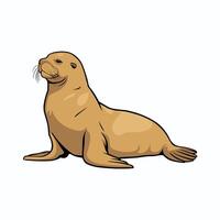 Cute seal cartoon animal design flat illustration isolated on white background vector