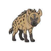 Set Hyena character with different action poses and views isolated on white background vector