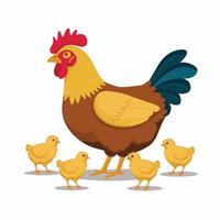 pollos conjunto ilustración en color. marrón y blanco gallina y gallo. masculino y hembra pollos vector