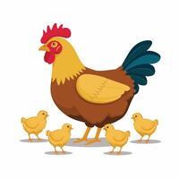 Chickens set illustration in Color. Brown and white Hen and Rooster. Male and female chickens vector