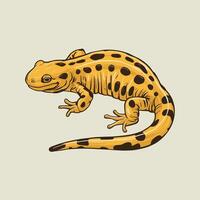 salamander animal. image white background vector