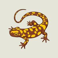 salamander animal. image white background vector