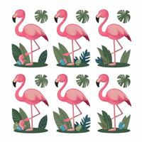 Cartoon Pink flamingo on an isolated white background. vector