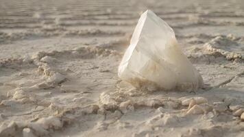 A solitary salt crystal standing tall amidst a sea of dried mud in a shrinking lake video