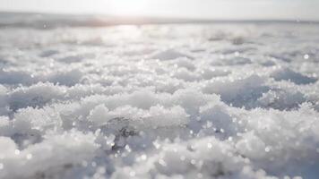 In some areas the salt crystals have formed a thick layer almost as soft as snow covering the ground as far as the eye can see video