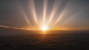 beim Sonnenaufgang atemberaubend Strahlen von Licht erstellen das Illusion von hoch glühend Säulen Umgebung das Sonne video