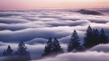 de tops van hoog bomen gluren uit van een zee van katoen snoep wolken creëren een surrealistische landschap video