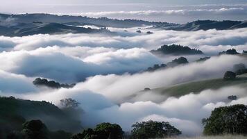 A landscape of rolling hills and valleys covered in a thick blanket of clouds like a sea of fog video