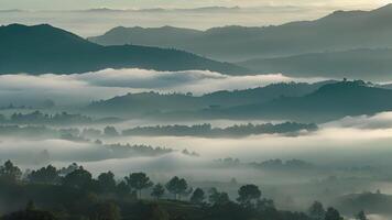 The rugged outline of a mountains shadow ting through a sea of mist during daybreak video