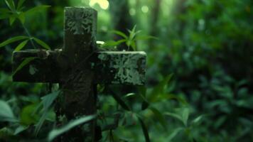 il famiglia cimitero nascosto in profondità nel il piantagioni boschi è si vociferava per hold il tombe di vendicativo spiriti In cerca di retribuzione per il atrocità commesso contro loro. 2d piatto cartone animato video