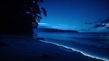 net zo de maan stijgt de bioluminescent strand komt naar leven aanbieden een droomachtige ervaring voor die wie bezoek Bij middernacht. video