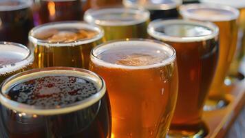 A closeup of a flight of nonalcoholic beers showcasing the diverse colors and flavors of each unique brew video