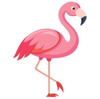 Cute Pink Flamingo On White Background Summer Love Cute Flamingo Couple vector