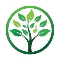 verde árbol minimalista logo eco logo verde árbol en circulo logo vector