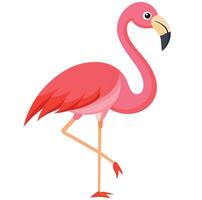 Cute Pink Flamingo On White Background Summer Love Cute Flamingo Couple vector