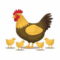 Chickens set illustration in Color. Brown and white Hen and Rooster. Male and female chickens vector