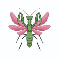 linda Orando mantis dibujos animados ilustración aislado en blanco antecedentes vector