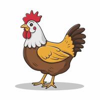 Chickens set illustration in Color. Brown and white Hen and Rooster. Male and female chickens vector