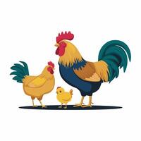 Chickens set illustration in Color. Brown and white Hen and Rooster. Male and female chickens vector