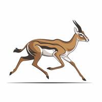 gazelle cartoon animal design flat illustration on white background side view antelope vector