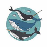 Cute and adorable cartoon narwhal white background vector