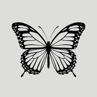 Flying butterfly . Flat illustration of flying butterfly icon isolated on white background vector