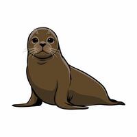 Cute seal cartoon animal design flat illustration isolated on white background vector