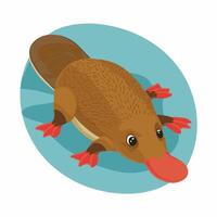 Cartoon platypus isolated on white background vector